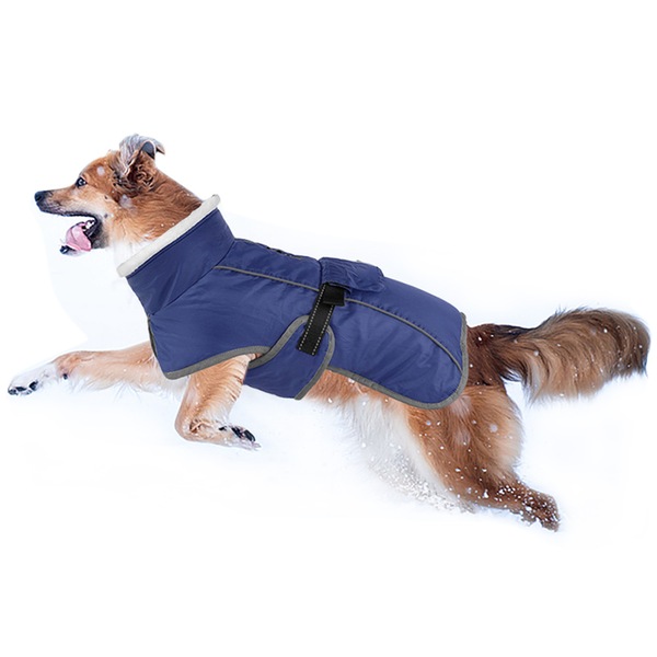 Image 22