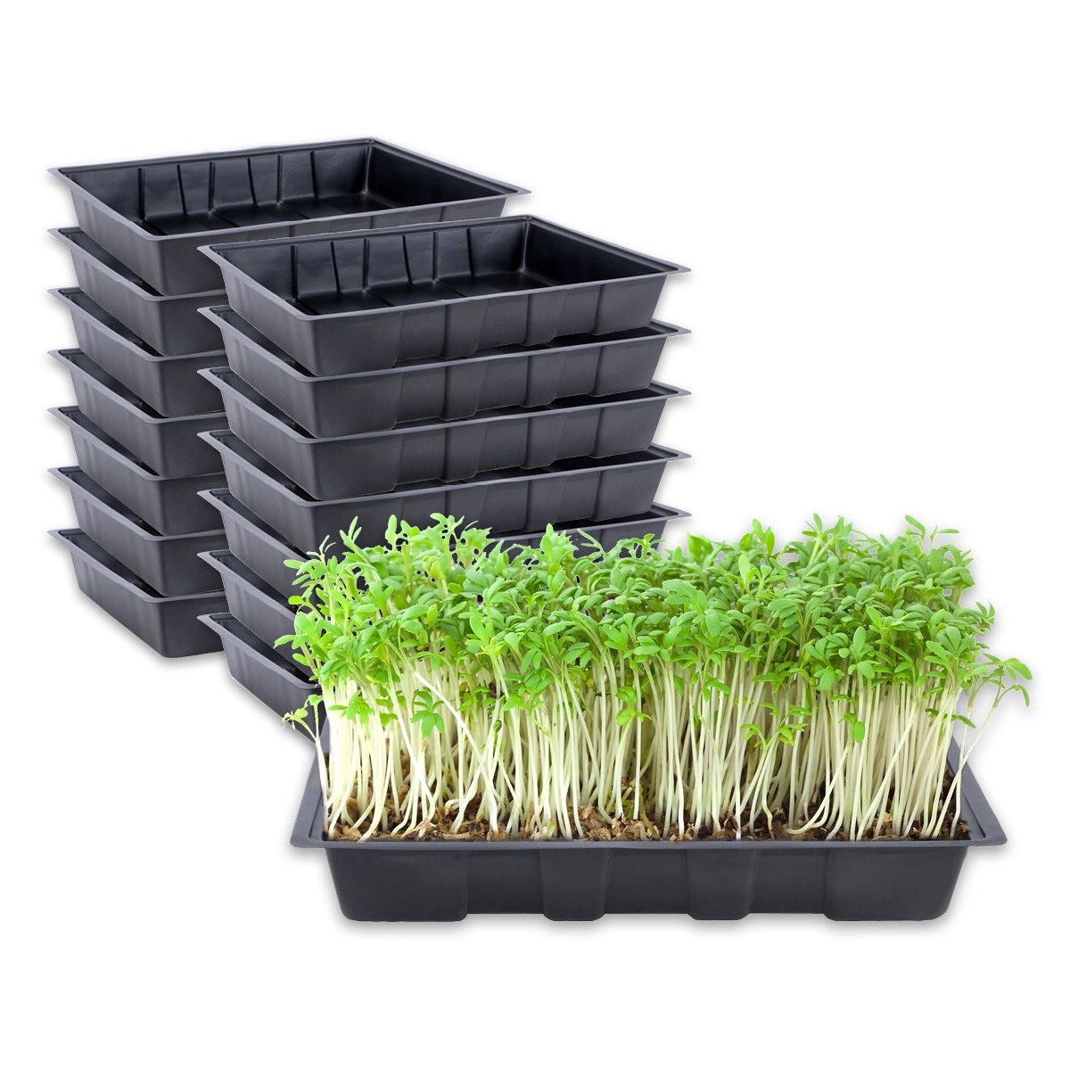 Garden Greens® 15PK Seedling Trays Lightweight Durable Reusable 24 x 35.5cm
