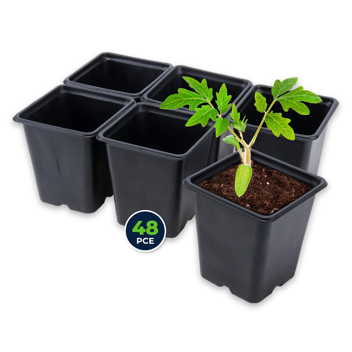 Garden Greens 48PK Planter Seedling Pots Square Reusable Durable 11cm x 12cm