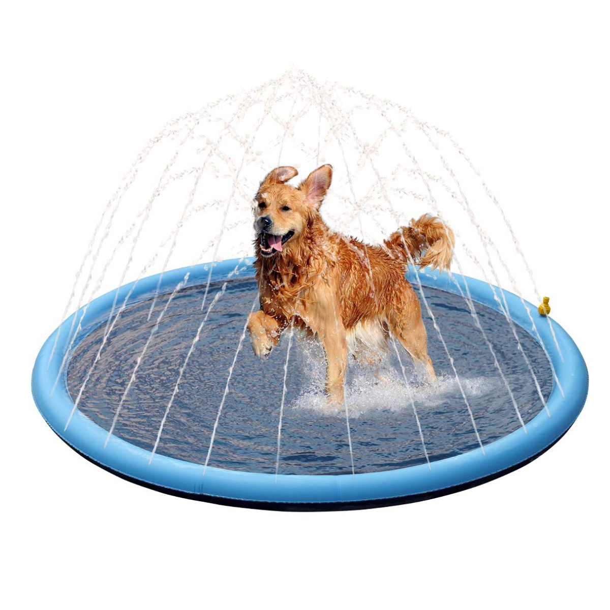 inflatable dog sprinkler