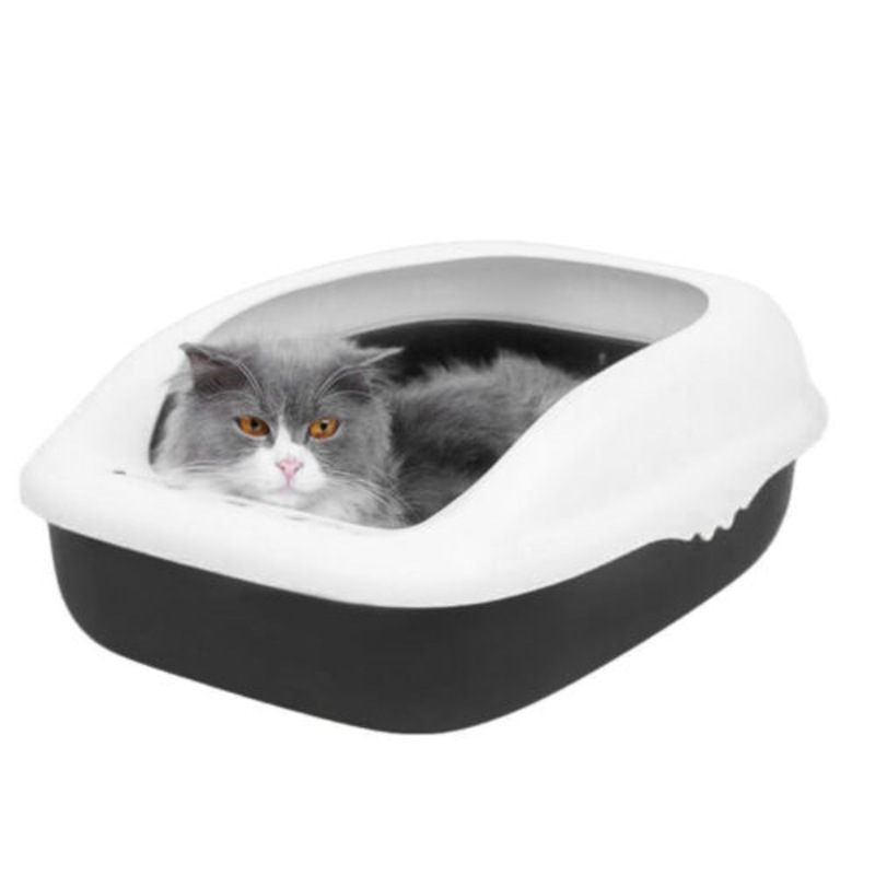 Buy Cat Litter Box Pan with removable rimmed Lid Prevent Litter scatter