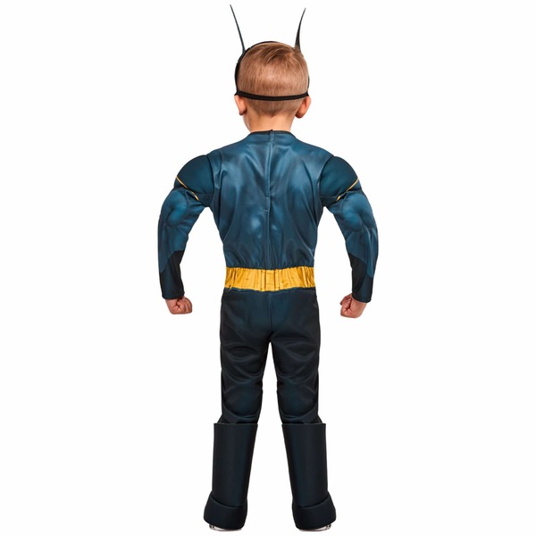 Image 3