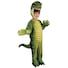 Buy Hobbypos Dino-Mite Dinosaur T-Rex Prehistoric Animal Book Week ...