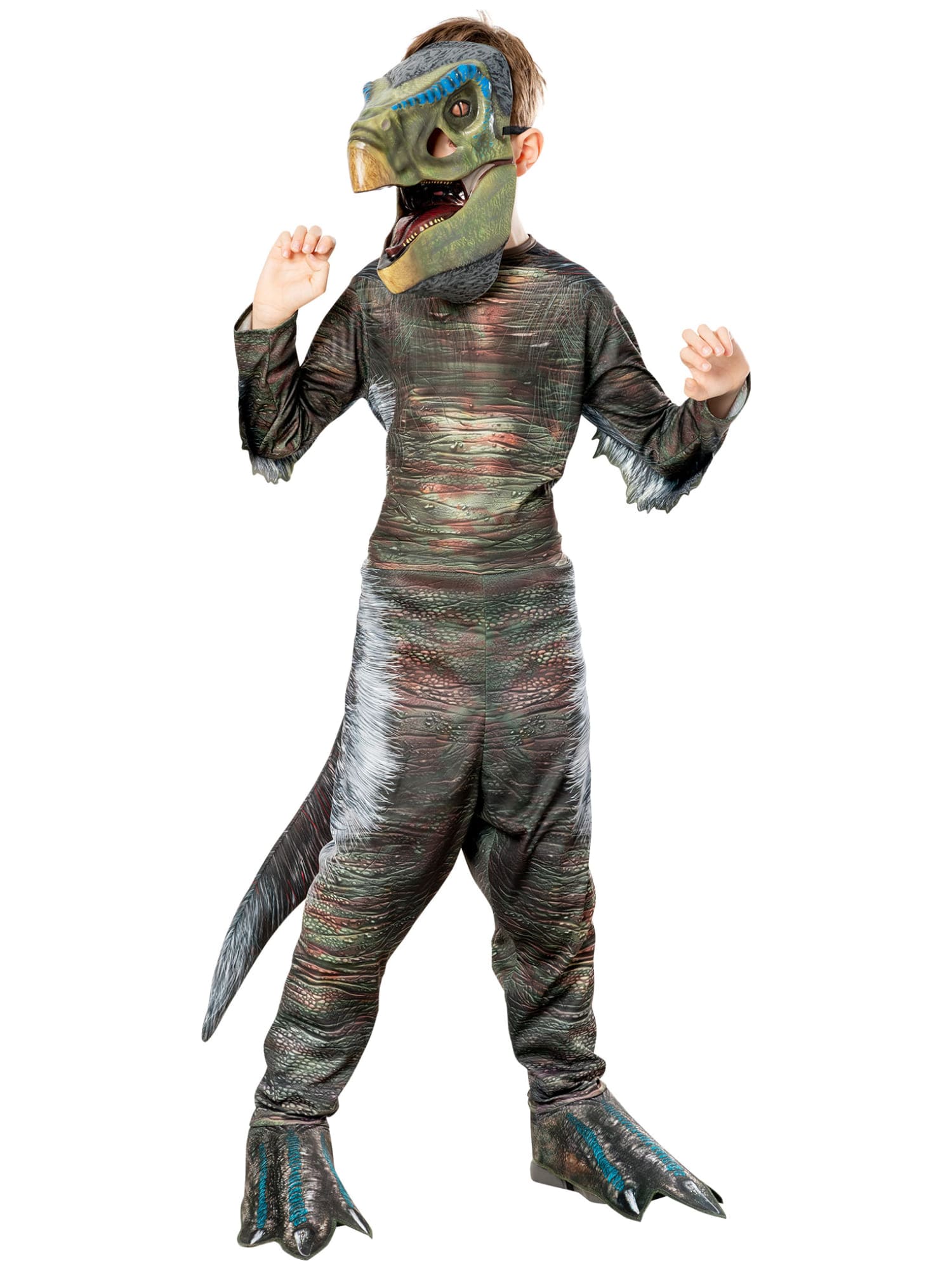 Image 5