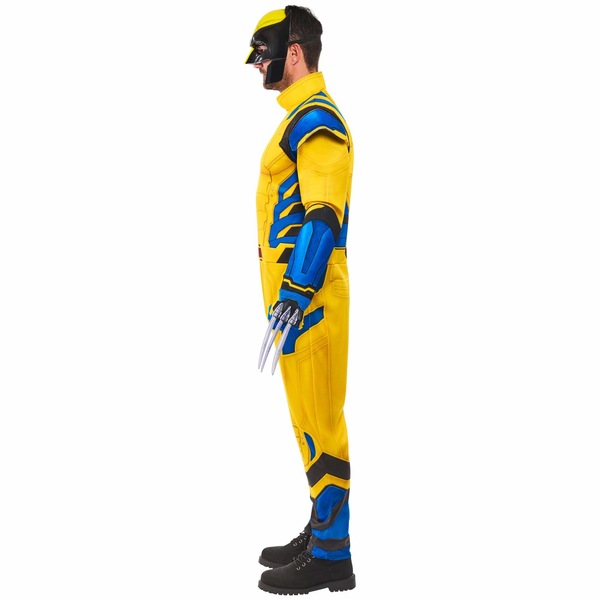Image 3