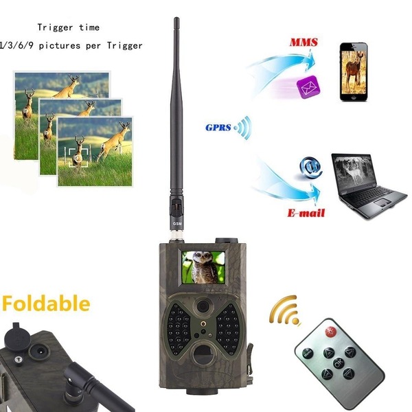 Image 2