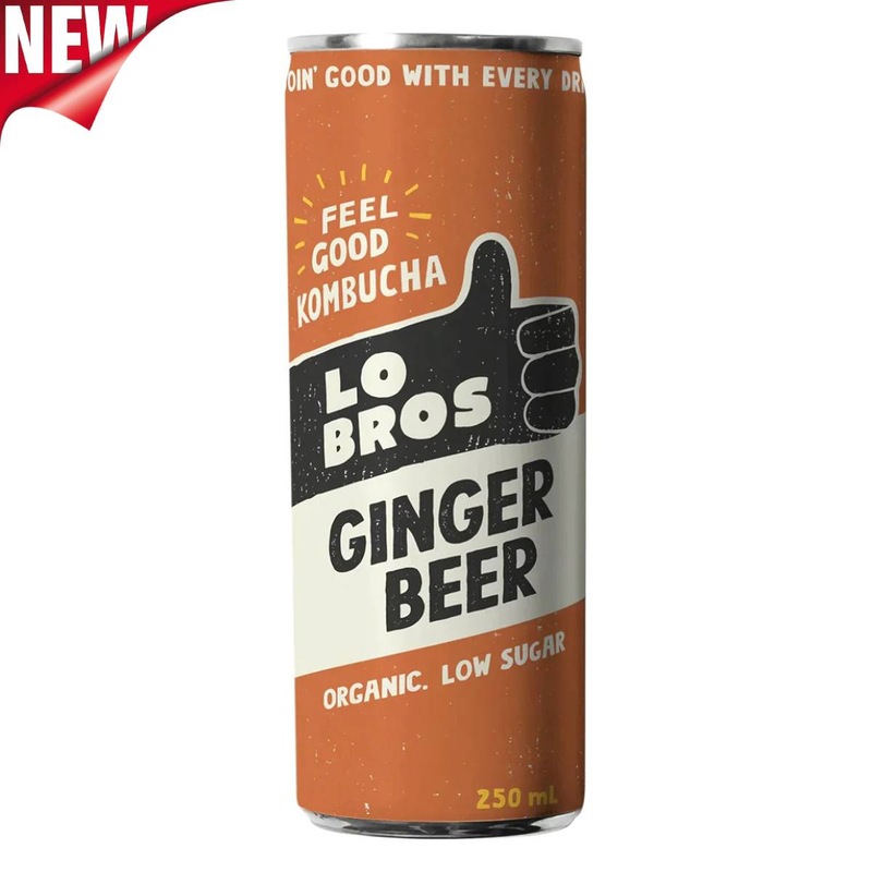 Buy Lo Bros Ginger Beer Kombucha Soda Cans 250ml Pack Of 24 MyDeal