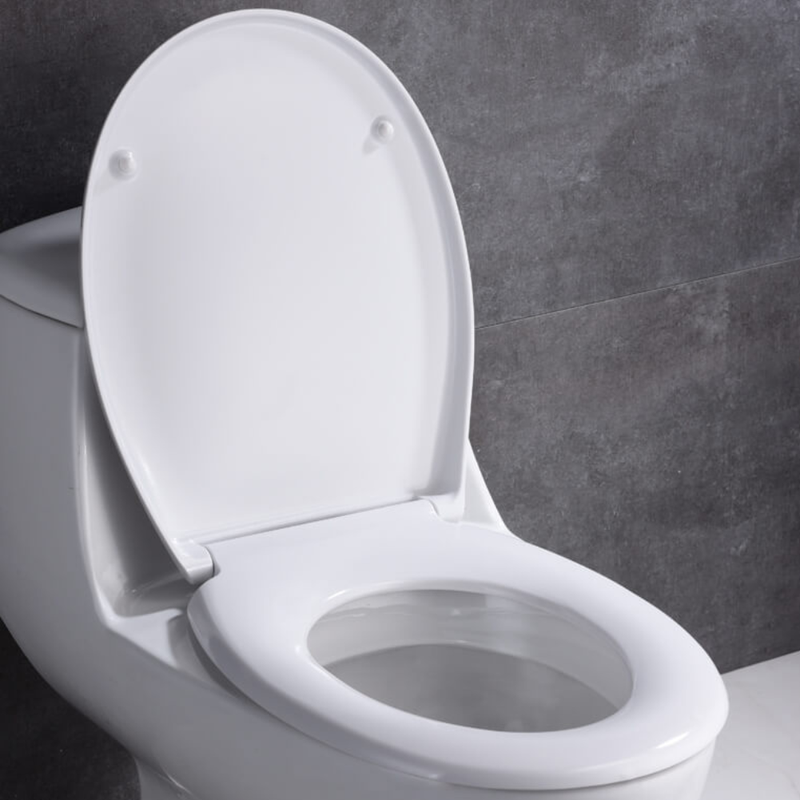 Deluxe Soft Close Quick Release Toilet Seat European Design 1932230 00 ?v=638434296241313636&imgclass=dealpageimage