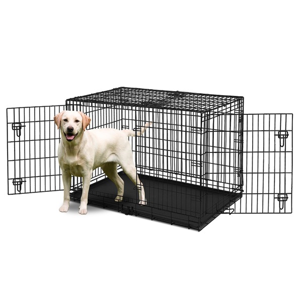 Image 7