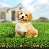 2mx5m OTANIC Artificial Grass 45mm 10sqm Synthetic Turf Gloss Fake Lawn