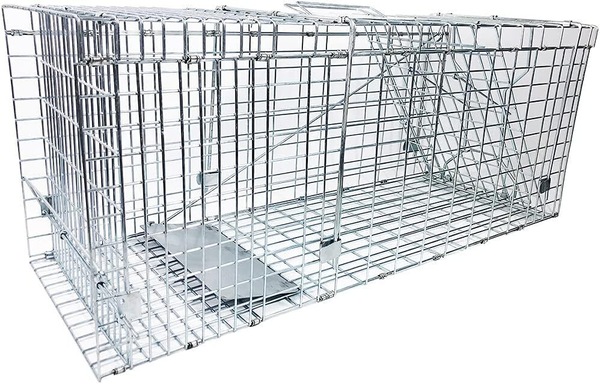 Image 2