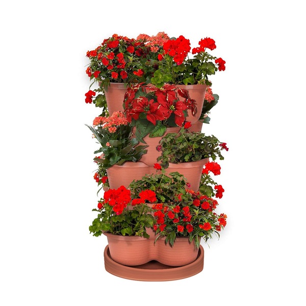 Image 5