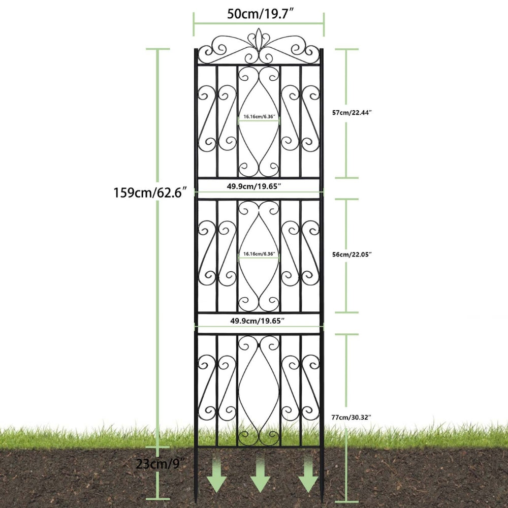 Image 7