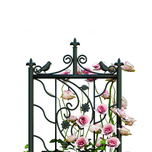 Image 8