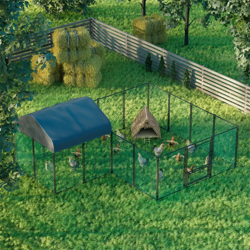 Image 5