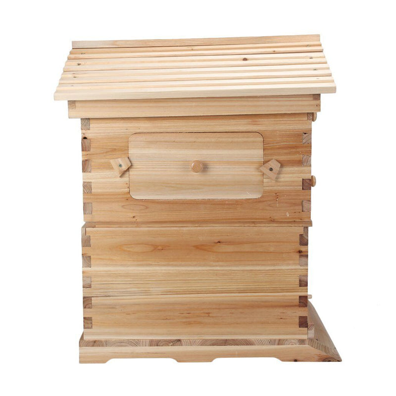 Image 7