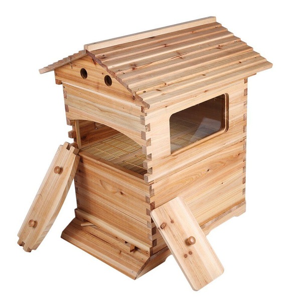 Image 8