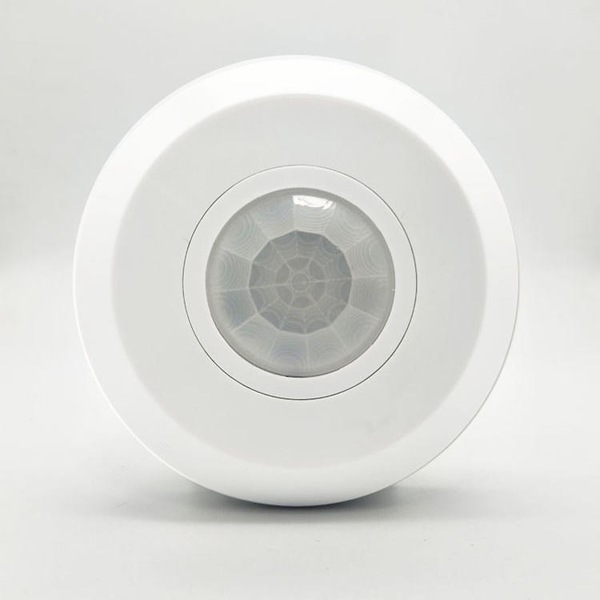 Image 6