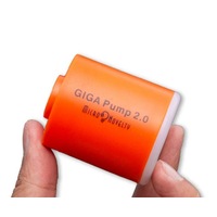 2.0 Portable Mini Electric Inflator Chargeable Outdoor Air Pump