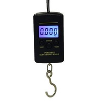 40kg x 10g Mini Digital Scale for Fishing Luggage Travel Weighting Steelyard Hanging Electronic Hook Scale Kitchen Weight Tool - with backlight