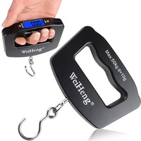 50kg Large Handle Portable Electronic Weighing Precision Spring Scale