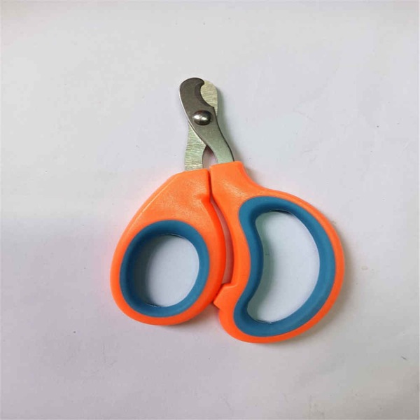 Image 8