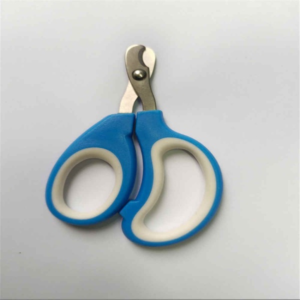Image 10