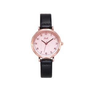 W17 Rose Gold Ladies Belt Watch Fresh Art Small Dial Korean Style Simple Temperament Watch Girls Decorative Wristband Jewelry