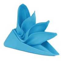 RANS Lollipop Aqua Napkin