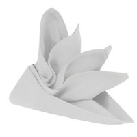 RANS Lollipop Grey Napkin