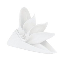 RANS Lollipop White Napkin