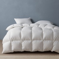Sienna Living Winter 80% Goose Down 20% Goose Feather Quilt