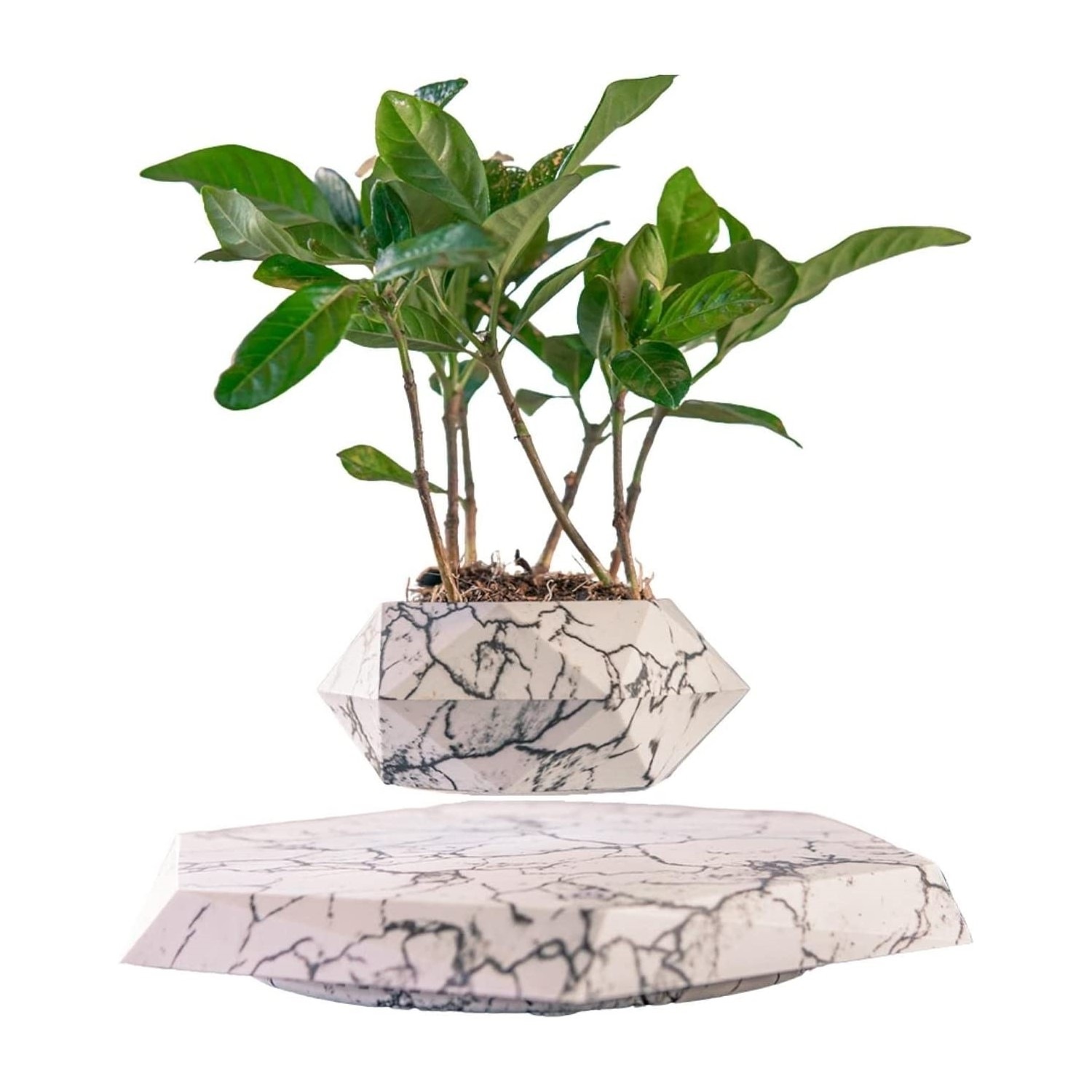 Buy GOMINIMO 360 Rotating Magnetic Levitating Indoor Plant Pot for Home ...