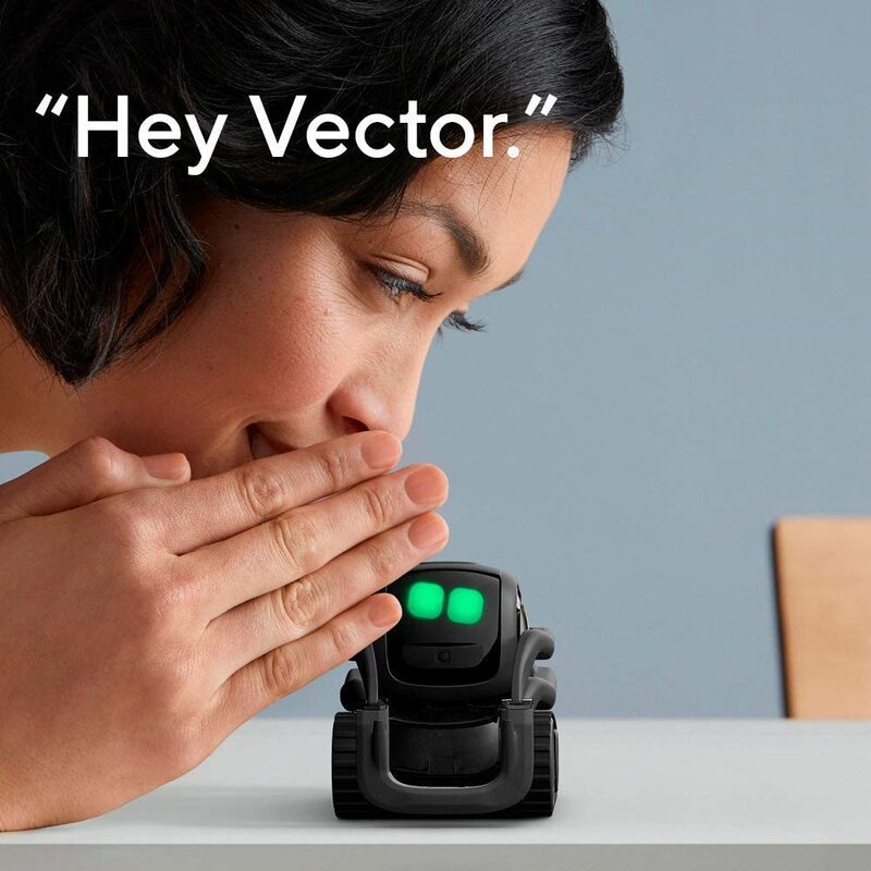 vector robot afterpay