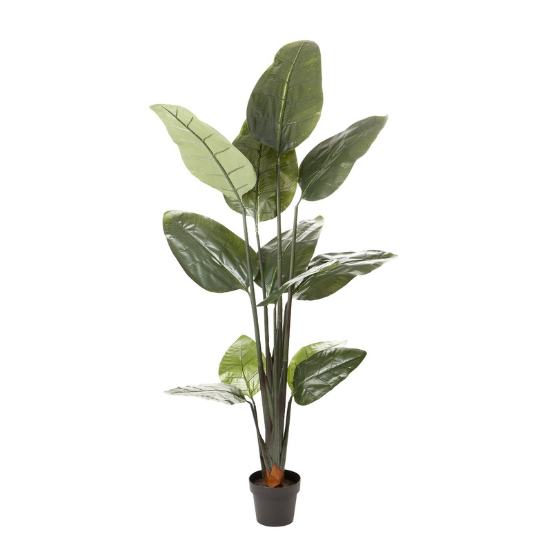 Buy Cooper & Co. 180cm Artificial Banana Leaf Tree Plant MyDeal