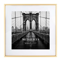 Cooper & Co. Platinum Metal Frame 40X40cm/30X30cm