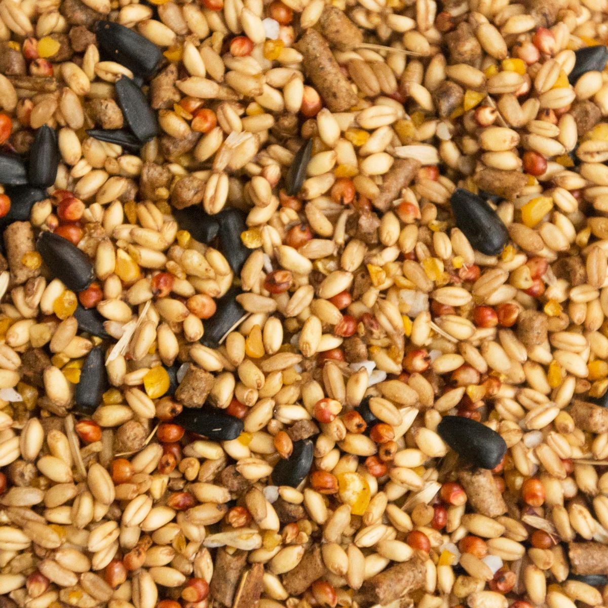 Buy Scratch Mix Mydeal Australia