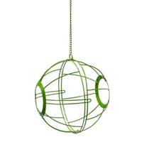 Vegetable Basket – Poultry (Large)