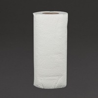 Jantex 2-Ply Paper Towel Roll (Pack of 24)