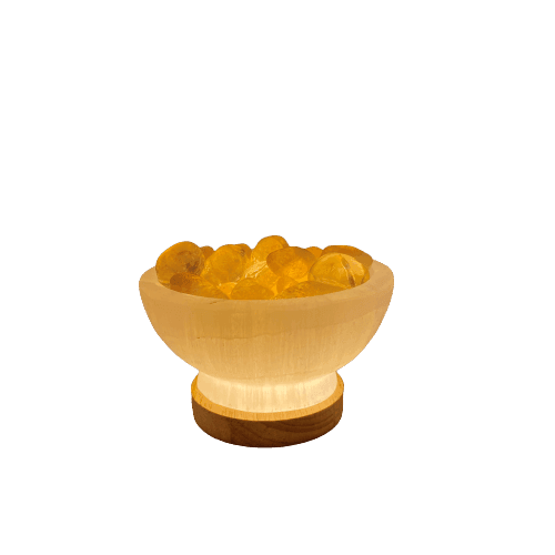Image 6