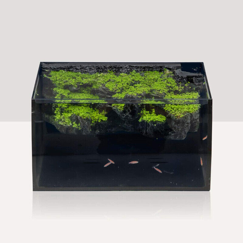 Image 6