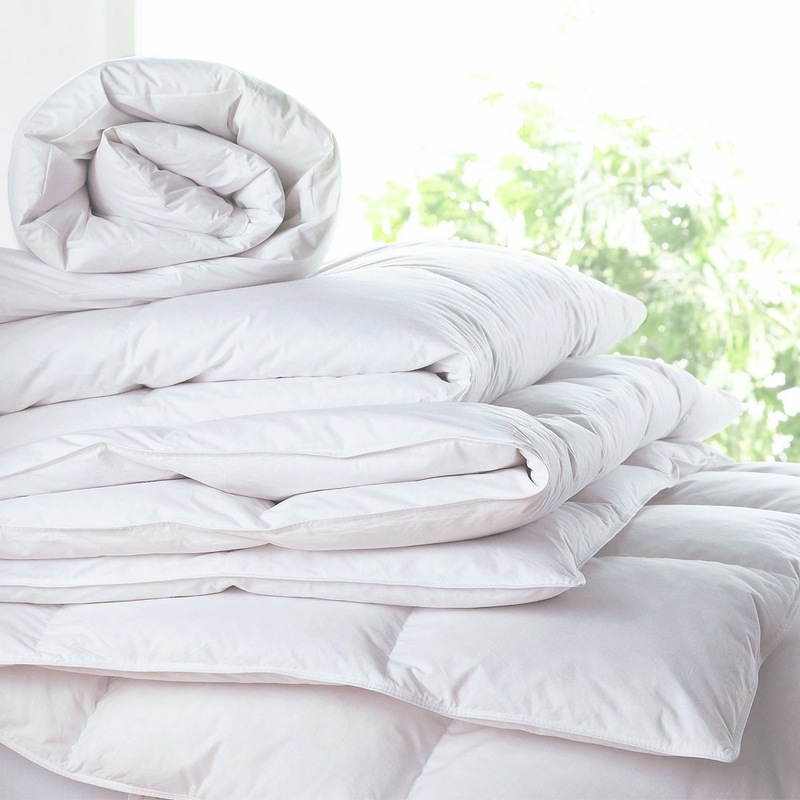 Buy Sheraton Luxury 400gsm Goose Feather & Down King Bed Quilt White