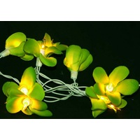 Green Frangipani Tropical Theme Party LED Lights - 20 Bulb battery string