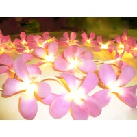 Pink Frangipani Party Night fairy lights string - Mains Pwr