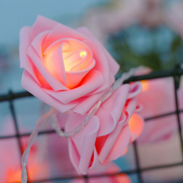 Pink Rose String Fairy Light - Party or Room Decoration- 30 Bulb Electrical Plug