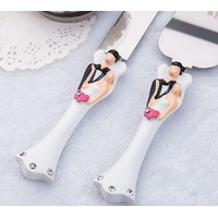 Wedding Day Cake Ceremony Knife Silver Blade Server Set Boxed - Bride Groom Handles