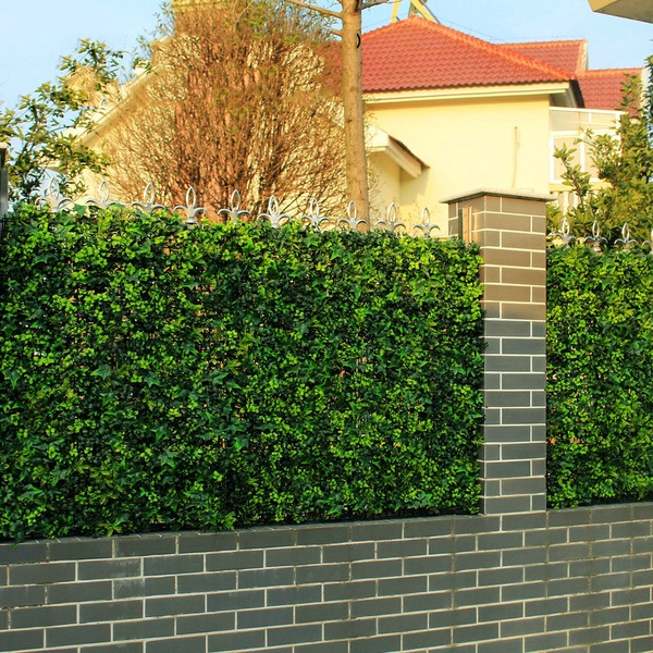 Image 12