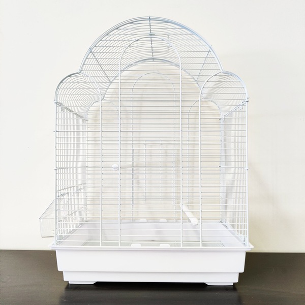 Image 8