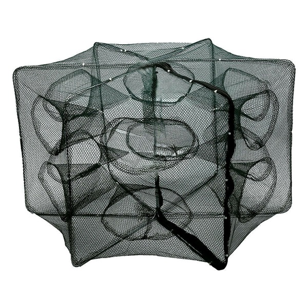 Image 11