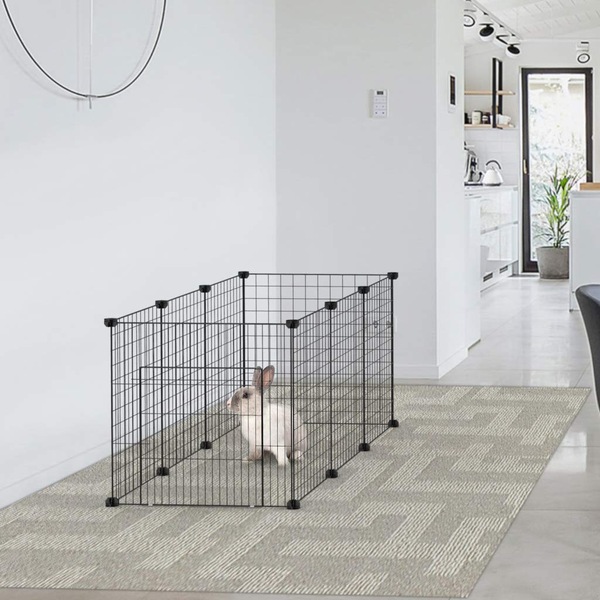 Image 7
